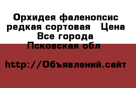 Орхидея фаленопсис редкая сортовая › Цена ­ 800 - Все города  »    . Псковская обл.